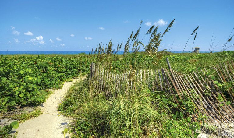 Beach Path at 4001 North Ocean, Luxury Oceanfront Condominiums Located at 4001 North Ocean Boulevard, Gulf Stream, FL 33483 