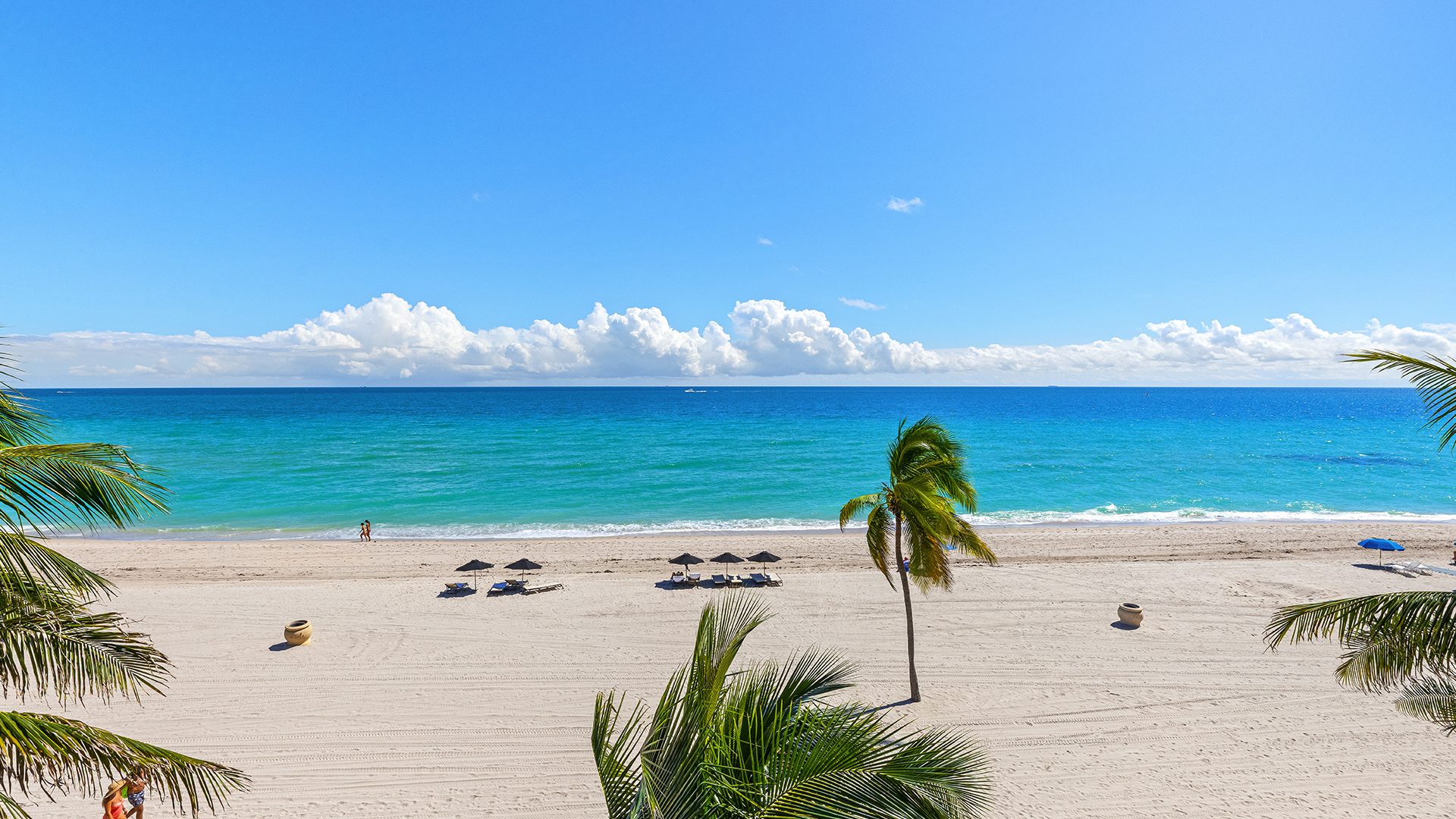 Sage Beach Hollywood View 2