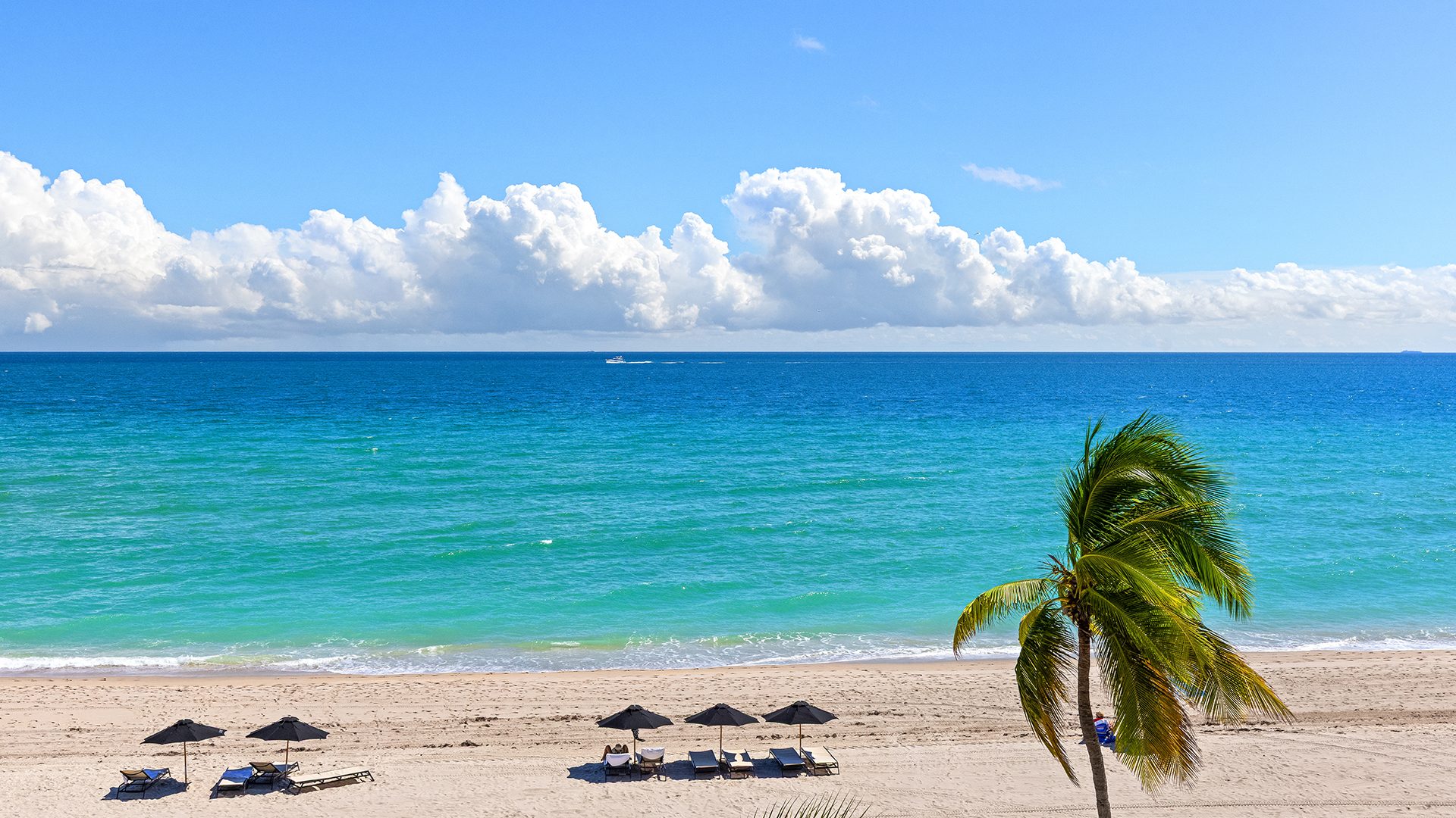 Sage Beach Hollywood View 3