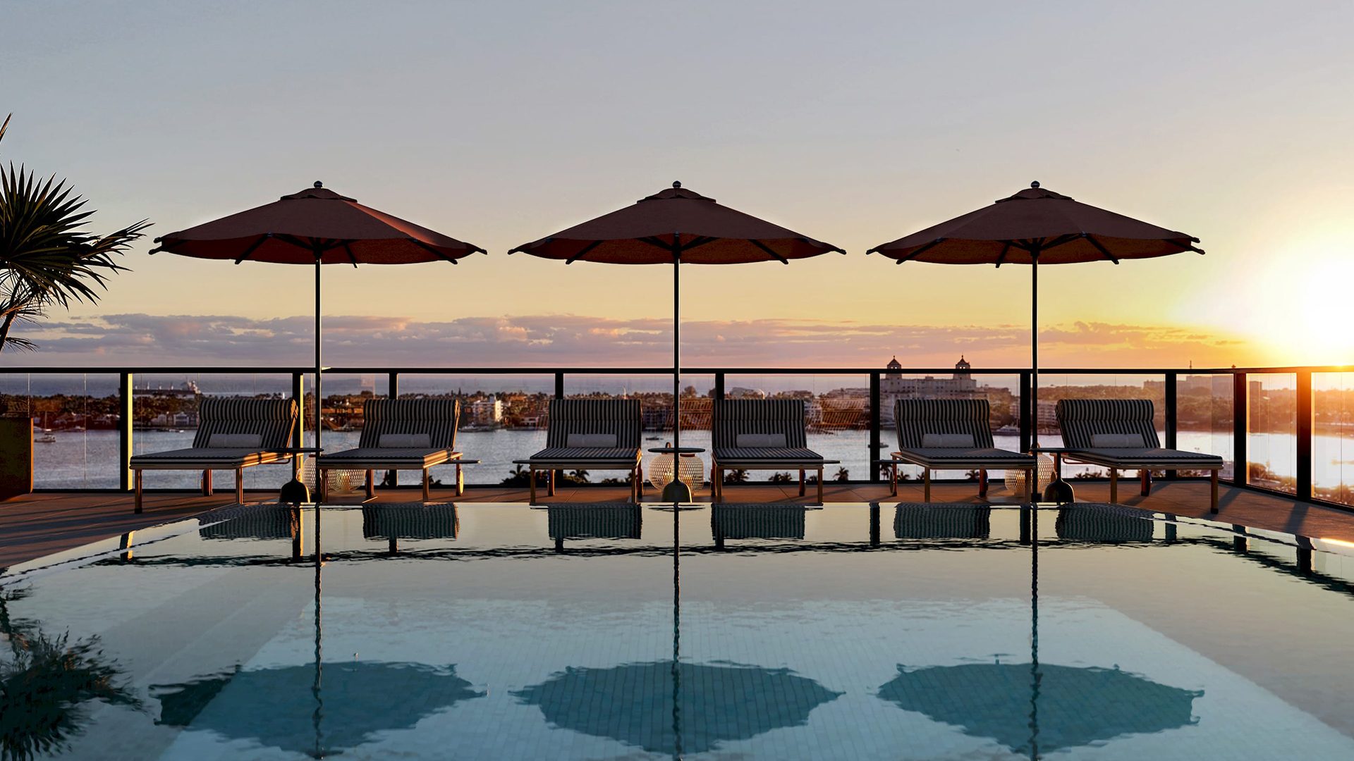 Nora House Rooftop Pool Vignette