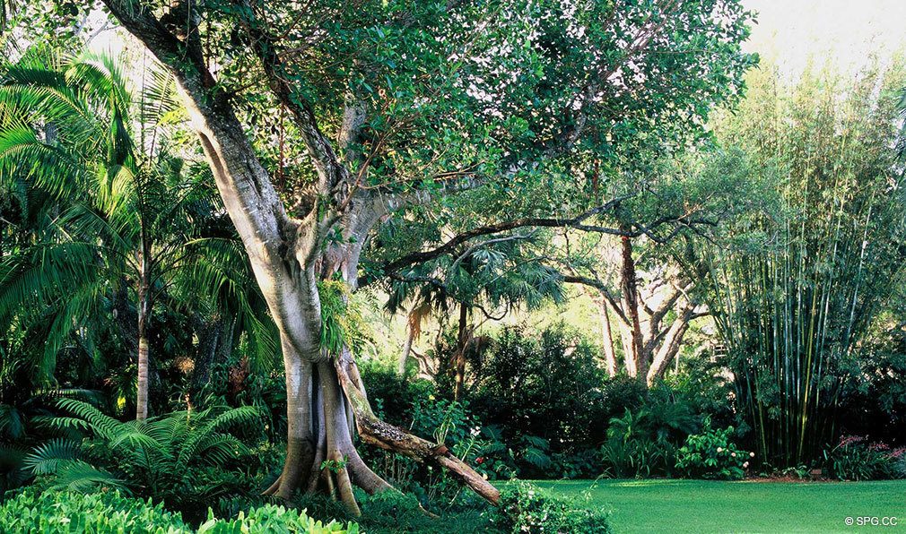 Lush Landscaping at Grove at Grand Bay, Luxury Waterfront Condominiums at 2669 South Bayshore Dr, Miami, FL 33133